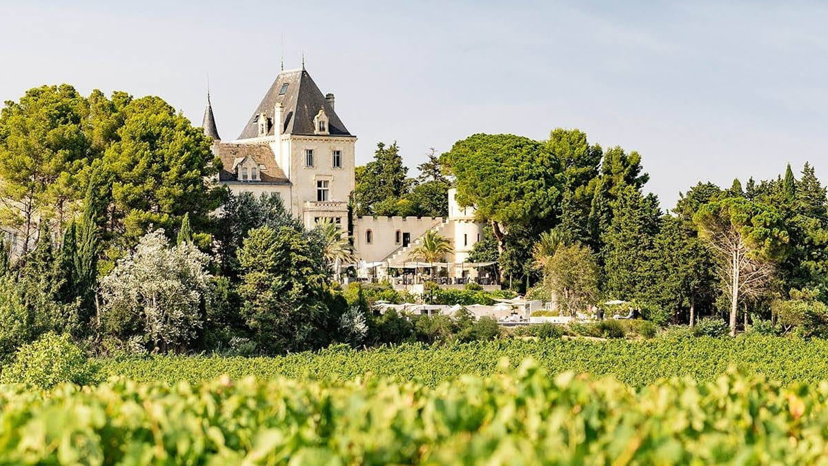 Paysage d'un domaine viticole avec château